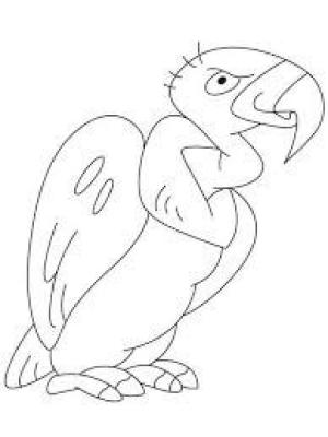 Akbaba boyama sayfası,  coloring page, California Condor Aptal, 