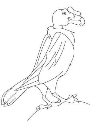 Akbaba boyama sayfası,  coloring page, Tatlı Akbaba, 