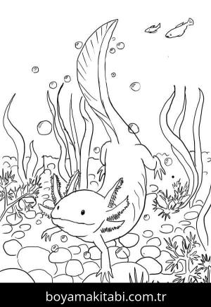 Aksolotl boyama sayfası 49181,  coloring page, 