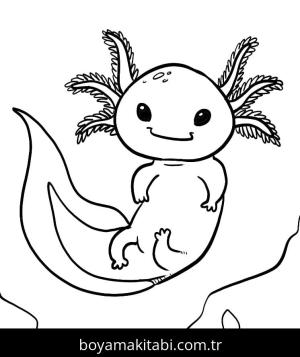 Aksolotl boyama sayfası 49202,  coloring page, 