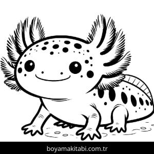 Aksolotl boyama sayfası 49210,  coloring page, 