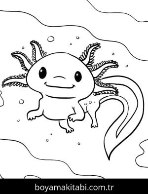 Aksolotl boyama sayfası 49177,  coloring page, 