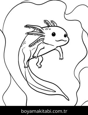Aksolotl boyama sayfası 49199,  coloring page, 