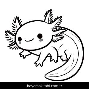 Aksolotl boyama sayfası 49192,  coloring page, 