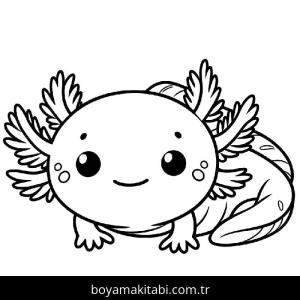 Aksolotl boyama sayfası 49209,  coloring page, 