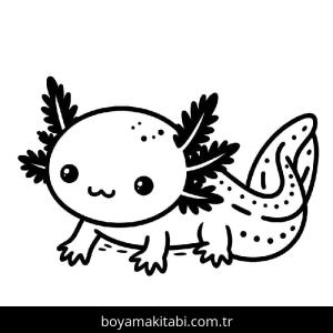 Aksolotl boyama sayfası 49213,  coloring page, 