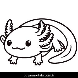 Aksolotl boyama sayfası 49197,  coloring page, 