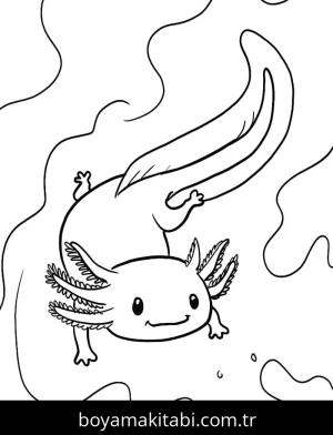 Aksolotl boyama sayfası 49214,  coloring page, 