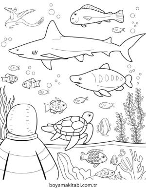Akvaryum boyama sayfası – evde etkinlik, ücretsiz yazdır