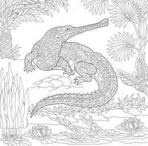 Alligator boyama sayfası,  coloring page, Timsah Gharial Zentangle, 