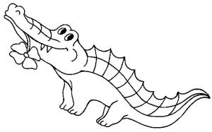 Alligator boyama sayfası,  coloring page, Timsah ve Çiçek, 