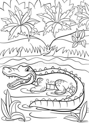 Alligator boyama sayfası,  coloring page, Küçük Sevimli Timsah Gölde Oturuyor, 