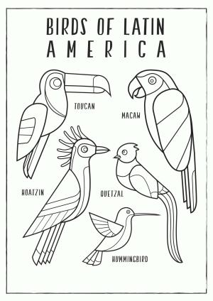 Amerikan boyama sayfası,  coloring page, Latin Amerika Kuşları, 