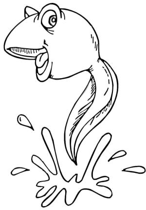 Amfibiler boyama sayfası,  coloring page, Iribaş, 