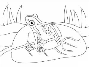 Amfibiler boyama sayfası,  coloring page, Yeşil Kurbağa, 