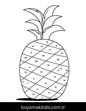 Ananas boyama sayfası 49490,  coloring page, 
