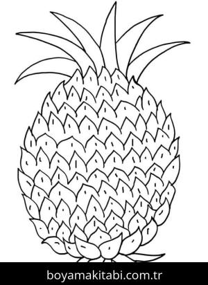 Ananas boyama sayfası 49491,  coloring page, 