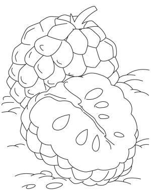 Ananas boyama sayfası,  coloring page, Yabani Ananas, 