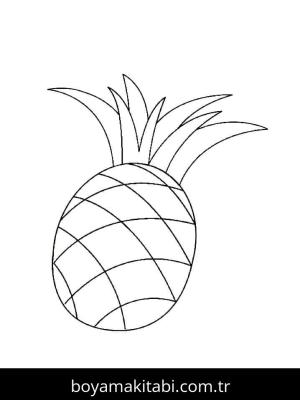 Ananas boyama sayfası 49485,  coloring page, 