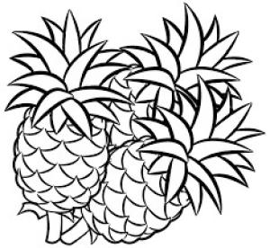 Ananas boyama sayfası,  coloring page, Üç Ananas, 