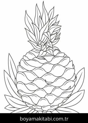 Ananas boyama sayfası 49474,  coloring page, 