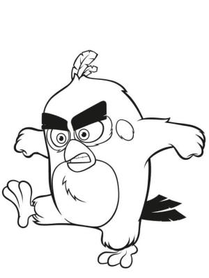 Angry Birds boyama sayfası,  coloring page, Serin Kırmızı Kuşlar Kızgın, 