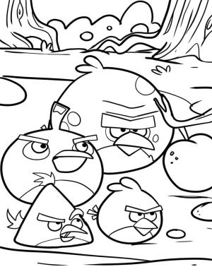 Angry Birds boyama sayfası,  coloring page, Angry Birds’ün Dört Kuşu, 