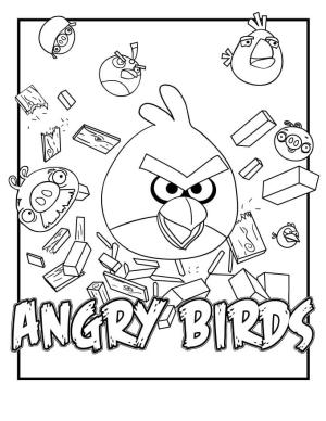 Angry Birds boyama sayfası,  coloring page, Iyi Angry Birds, 