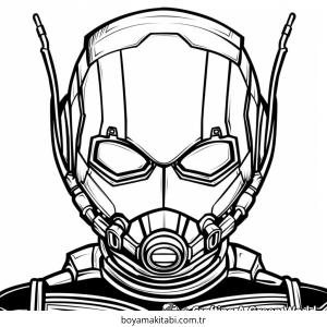 Ant Man Boyama