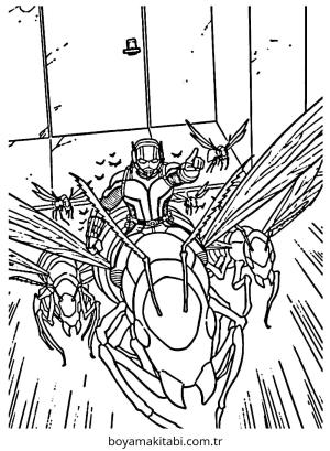 Ant Man Boyama