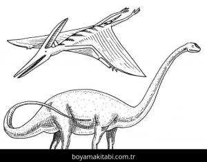 Apatosaurus Dinazor Boyama