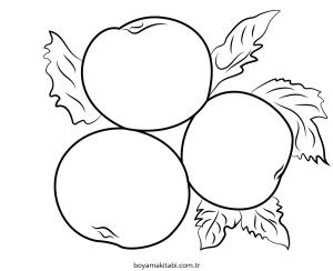 Apple boyama sayfası – renkli çizimler, okul öncesi