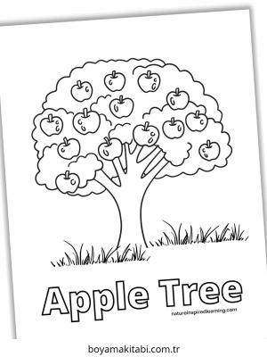 Apple boyama sayfası – boyama etkinliği, çocuk aktivitesi