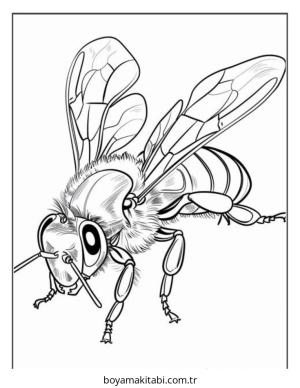 Arı boyama sayfası – evde etkinlik, ücretsiz yazdır