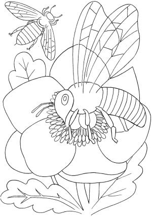 Arı boyama sayfası,  coloring page, Arılar sürekli iş başında, 