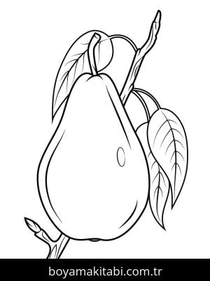 Armut boyama sayfası 49932,  coloring page, 