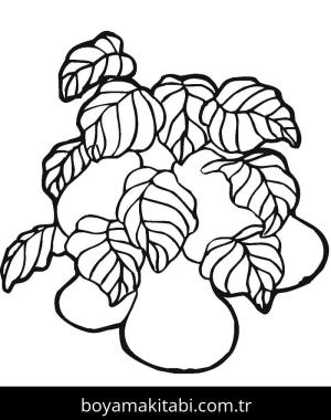 Armut boyama sayfası 49939,  coloring page, 