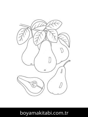 Armut boyama sayfası 49937,  coloring page, 