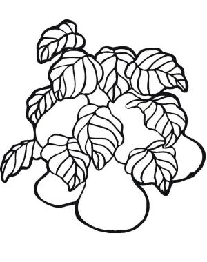 Armut boyama sayfası,  coloring page, Armut Meyveler, 