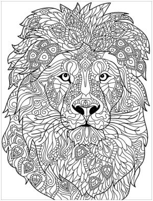 Aslan boyama sayfası, Lions coloring page, , 