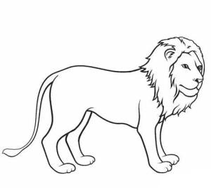 Aslan boyama sayfası, Lions coloring page, ,