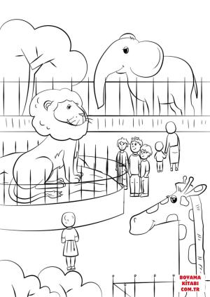 Aslan boyama sayfası, Lions coloring page, , lions zoo animals 