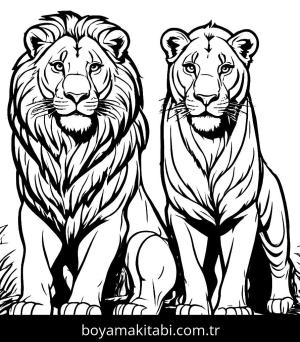 Aslan Boyama