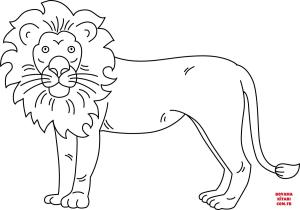 Aslan boyama sayfası, Lions coloring page, , lions lion 