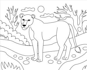 Aslan boyama sayfası, Lions coloring page, Dişi Aslan, 