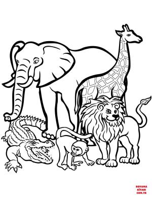 Aslan boyama sayfası, Lions coloring page, , lions african animals 