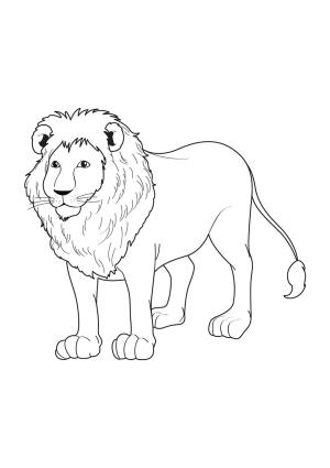 Aslan boyama sayfası, Lions coloring page, , 