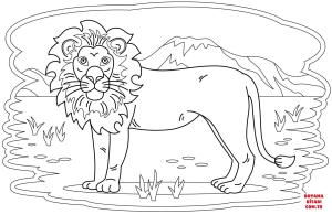 Aslan boyama sayfası, Lions coloring page, , lions lion 