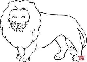Aslan boyama sayfası, Lions coloring page, , lions lion 