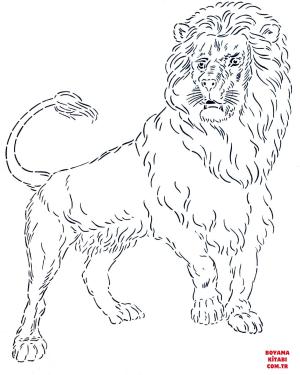 Aslan boyama sayfası, Lions coloring page, , lions lion 